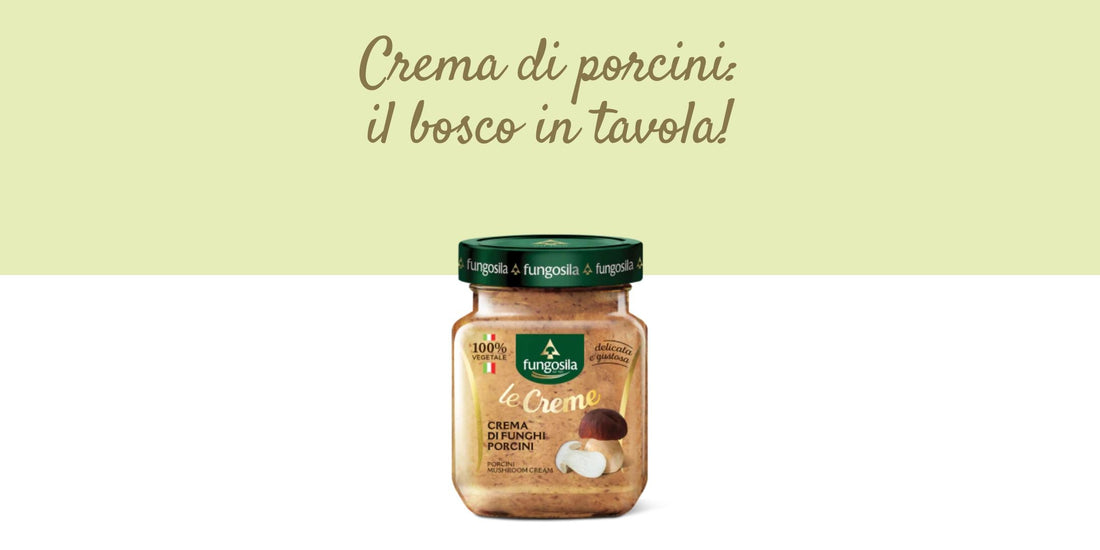 crema di funghi porcini
