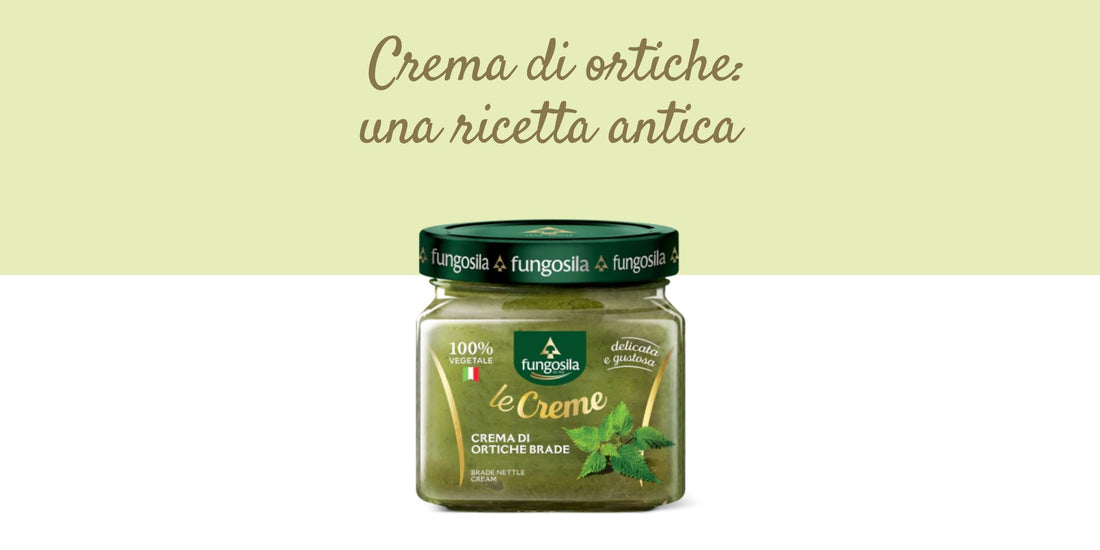 crema di ortiche